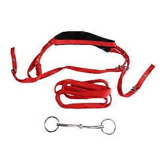 Adjustable Equestrian Horse Bridle Rein Harness with Materials and Multiple Adjustment Buckles