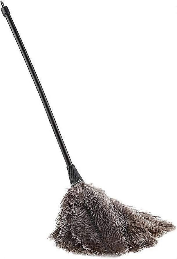 Mini Feather Duster Duster, Reusable Feather Dusters Real Feather Duster Home