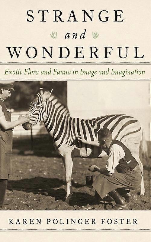 Strange And Wonderful