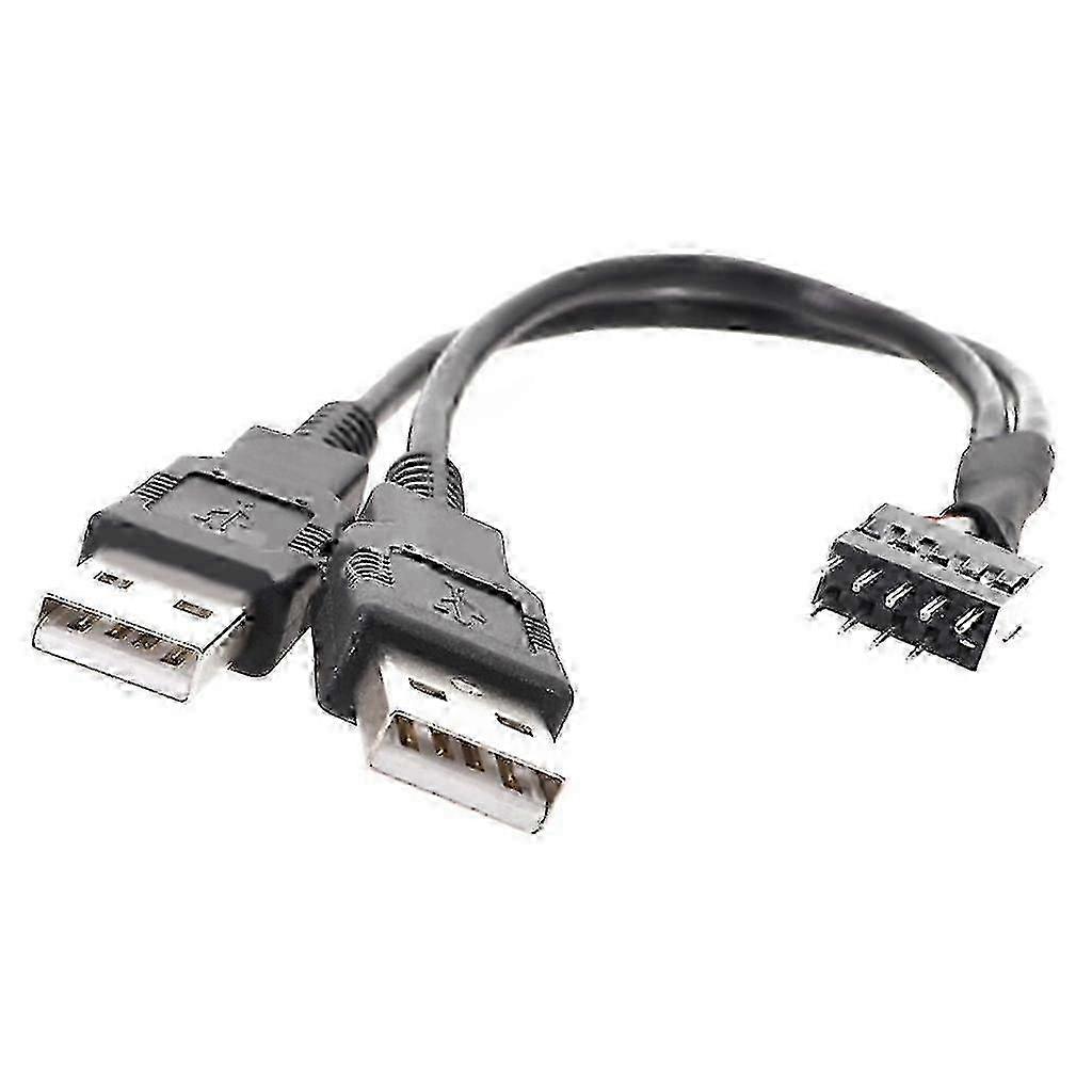 20cm 50cm Dual USB-A Header Cable