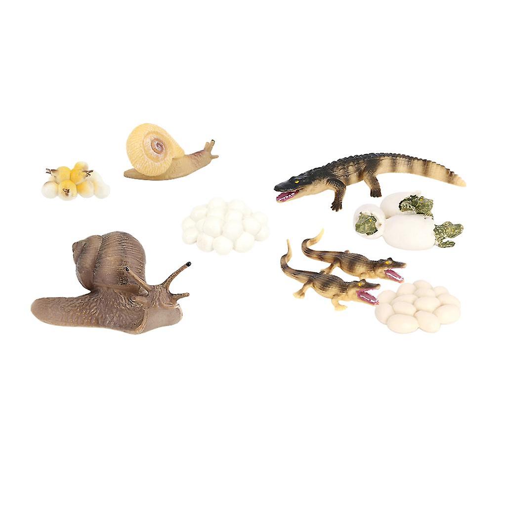 2 Set Kids Simulation Animal Figures Crocodile Snail Growth Process Playset
