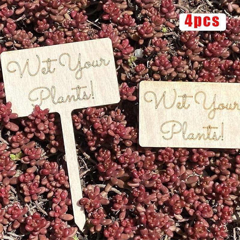 Pissing Plant Decoration Mark Miniature Landscape Flower Basin Insert Suitable for Indoor and Outdoor