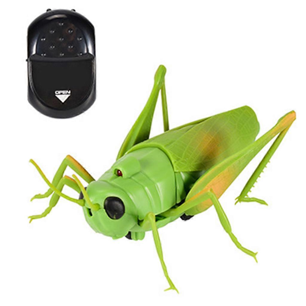 Interest Children's Realistic Grasshopper Remote Control Halloween Trick Toy