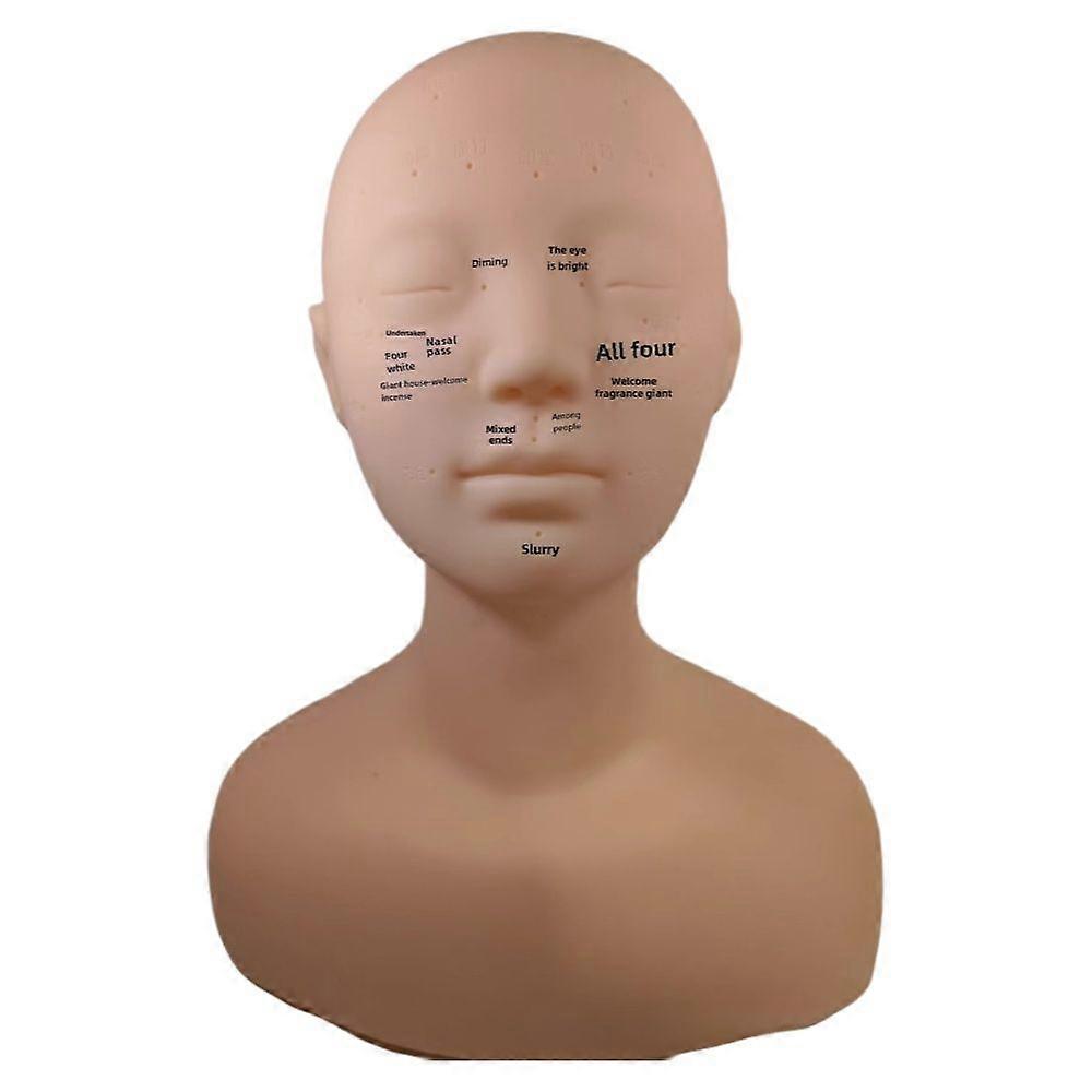 Skin management head model beauty dummy head model beauty model head face massage head model grafting eyelash