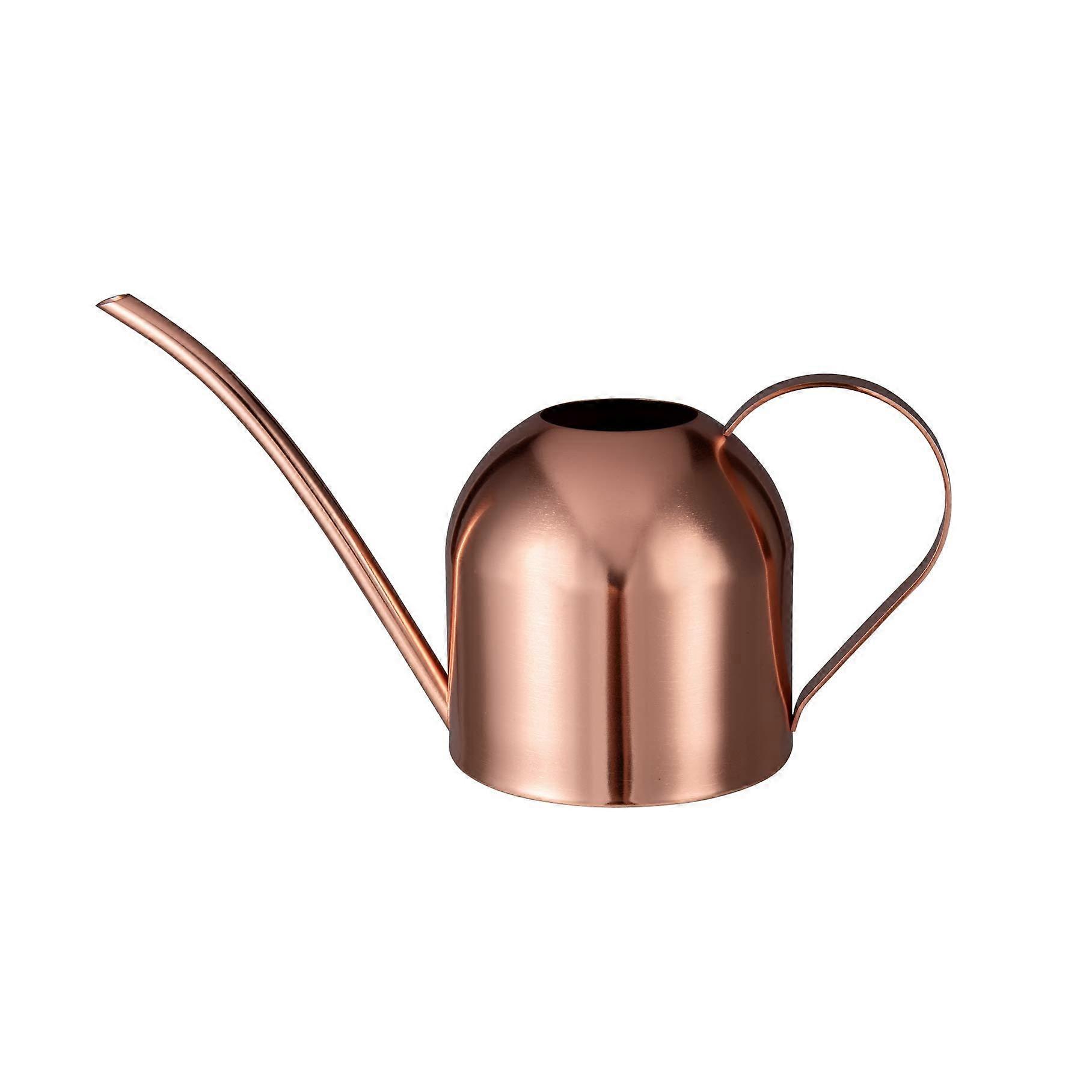 1 Litre Stainless Steel Watering Can with Long Spout, Pink Modern Design for Indoor Plants and Succulents