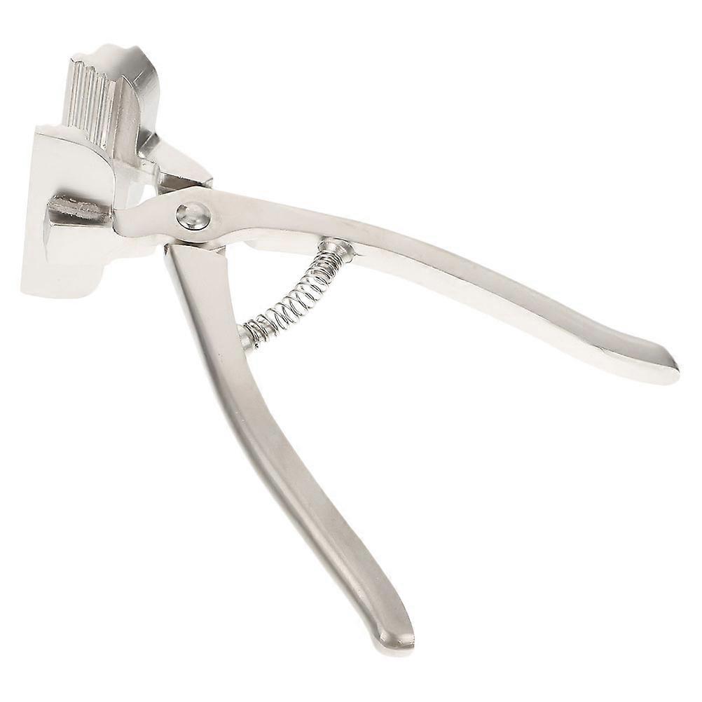 Durable Canvas Clamp for Stretching Wide Mouth Tension Gripper with Non Slip Grip, Easy One Hand Use for Artists and Painting Accessories