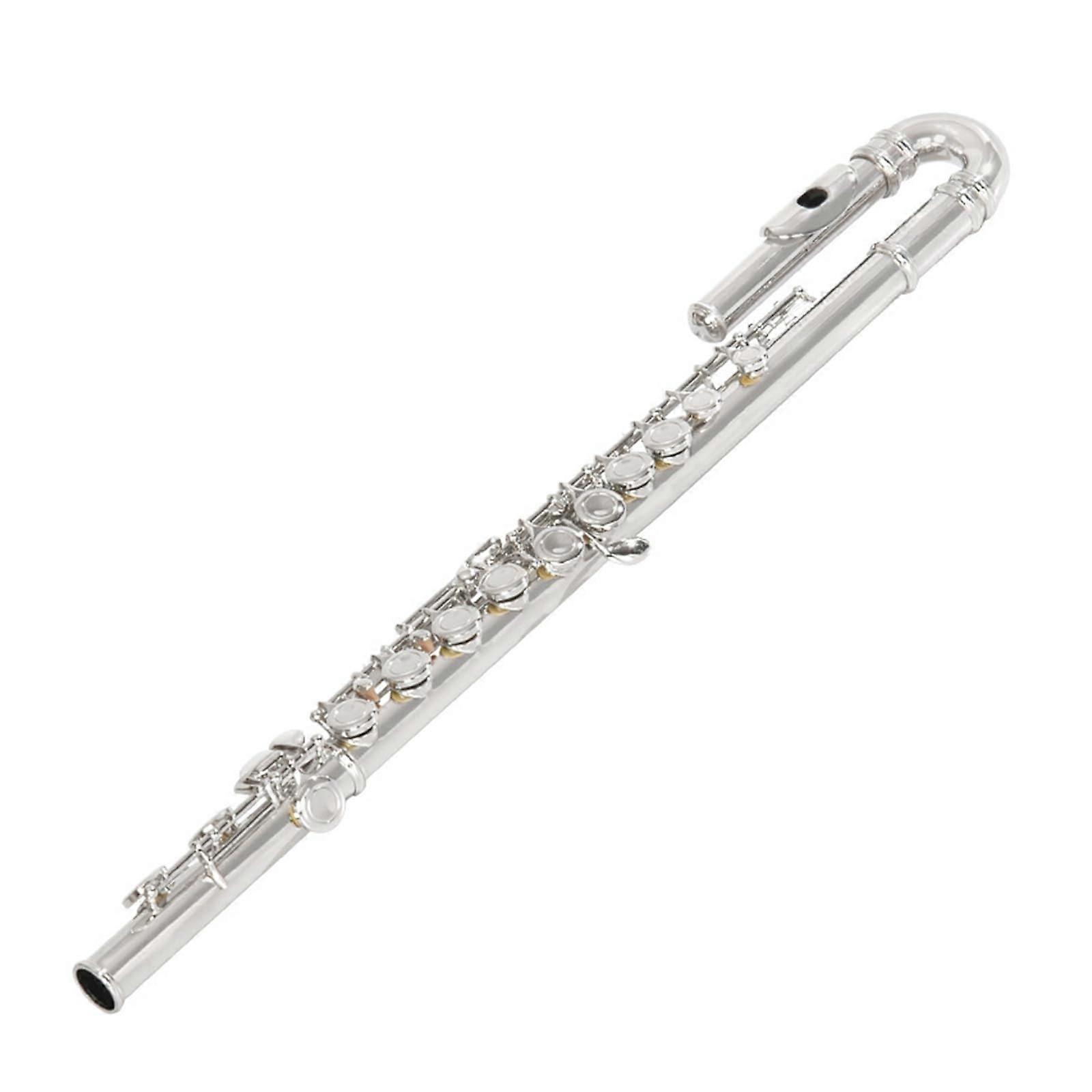 Professional flute instrument with 16 holes