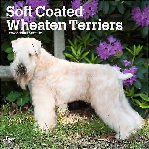 Wheaten Terriers Soft Coated 2026 Square Flap Calendar Calendar Book