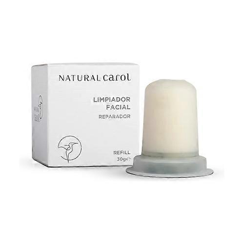 Facial cleanser refill 30 g