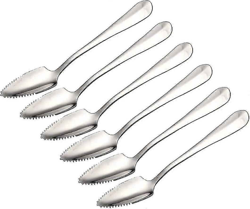 Cuillères à pamplemousse en acier inoxydable, ensemble dentelé de 6-CE
