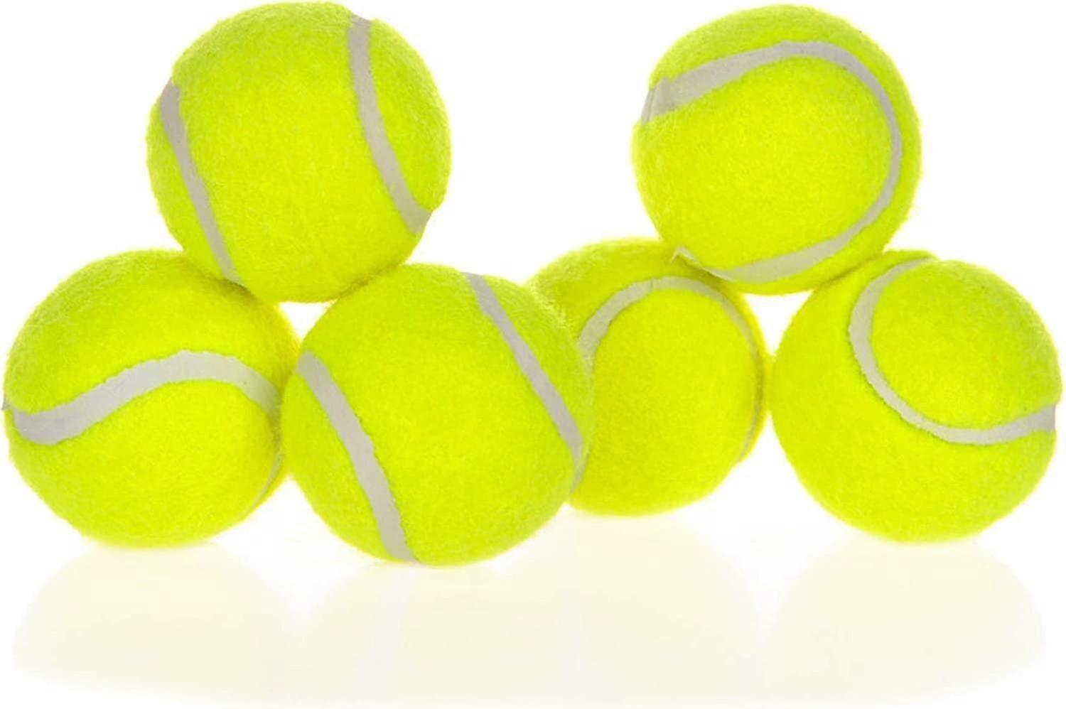 Dog Training Tennis Balls 2.5 Inch
