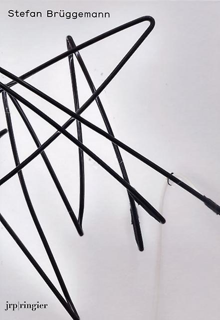 Stefan Bruggemann by Chris Kraus Hardback Book