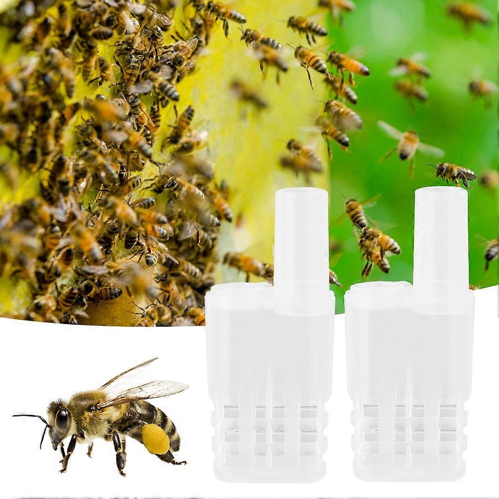 20Pcs Plastic Escape Proof Queen Bee Cages 6.5x3x1cm White