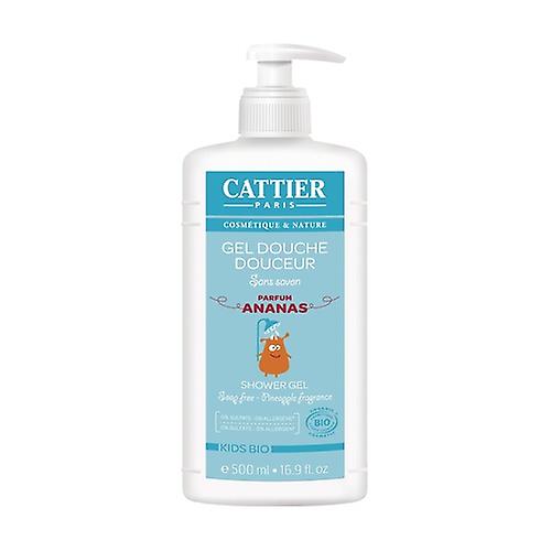 Handwashing gel with clay Rose and Apricot perfume without soap 300 ml of gel