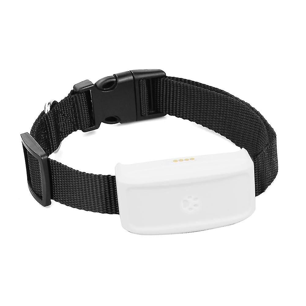 Global Locator Real Time Pet Gps Tracker For Pet Dog/cat Gps Collar Tracking Free Platform