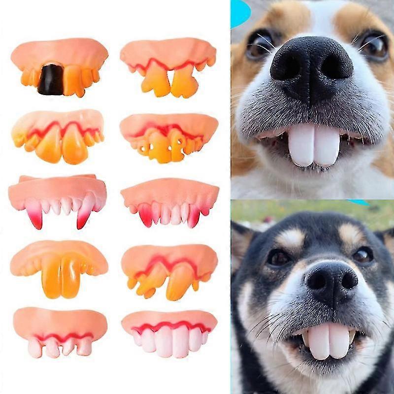 For False Teeth for Dogs and Pets - Funny Dentures