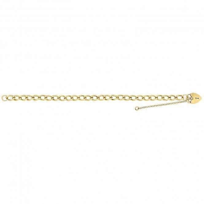9ct Yellow Gold Ladies Charm Bracelet BR106