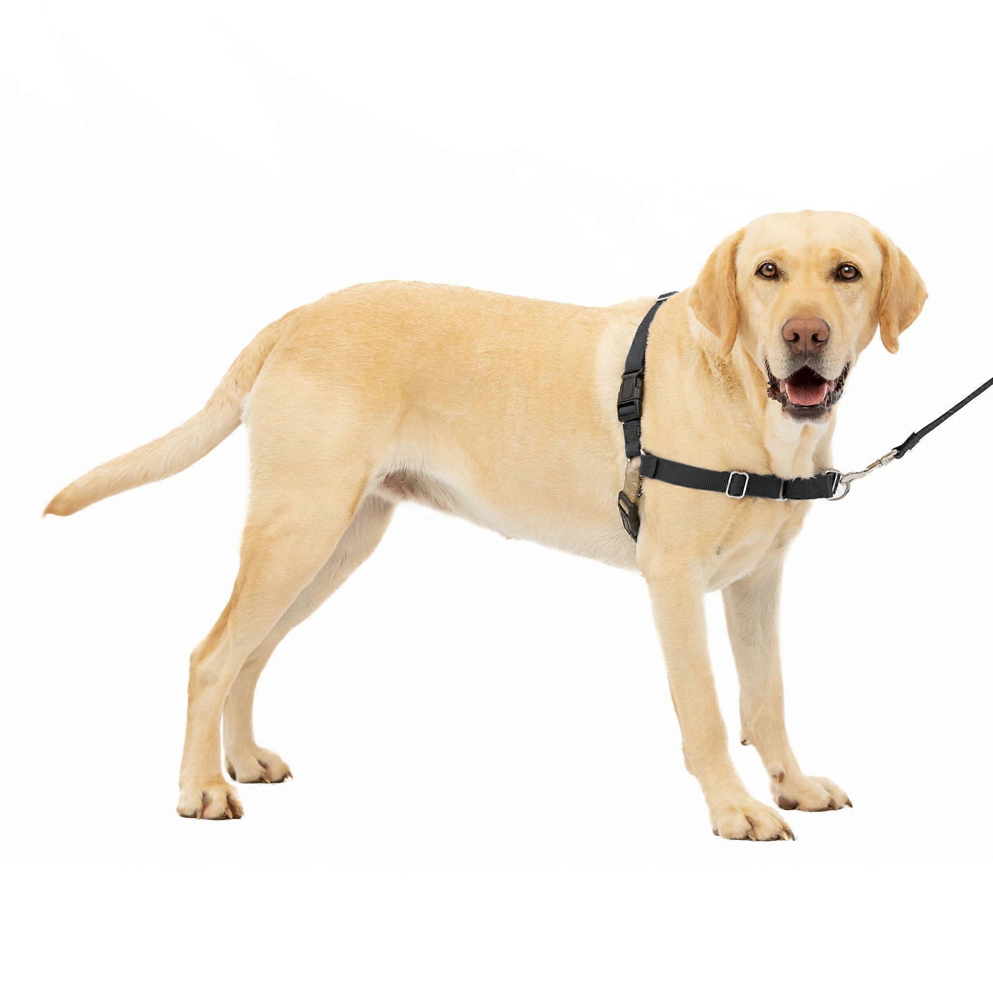Large No-Pull Dog Harness for Training With Leash Control, Adjustable Fit, Comfortable Mesh Material, Blue Color