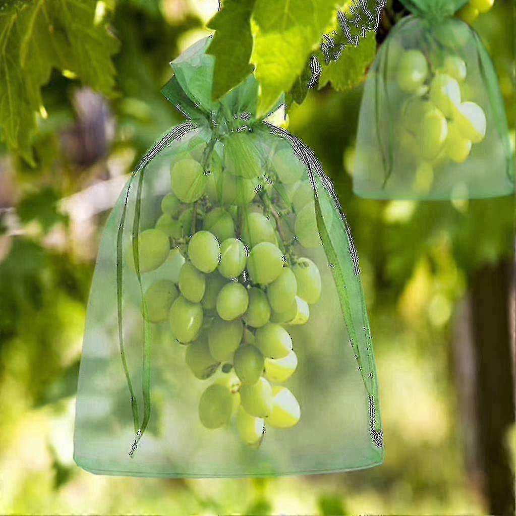 100 Pieces Bunch Protection Bag 30x20cm/23x17cm Grape Fruit Organza Bag with Drawstring Gives total 
