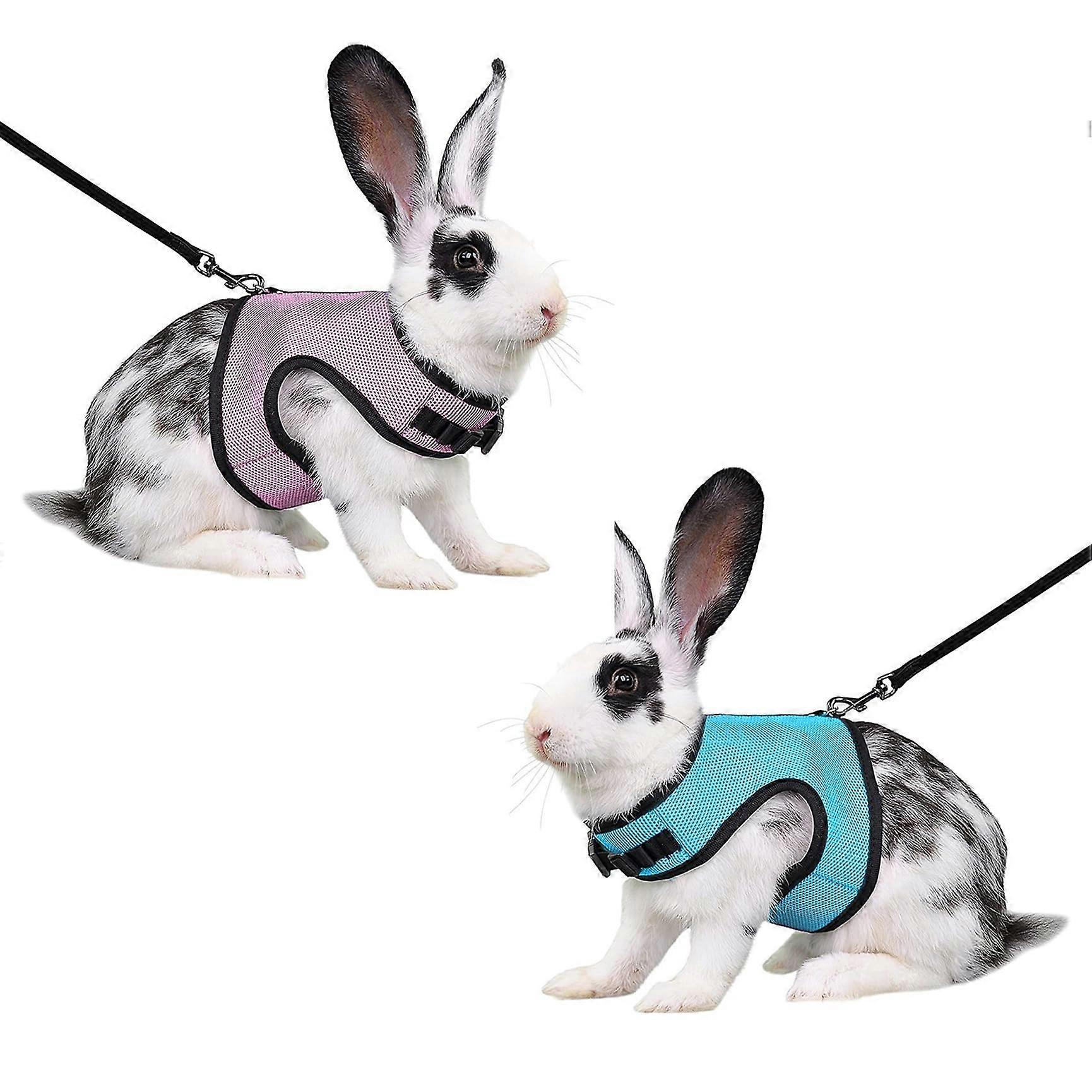 Rabbit Harness with Lead - Adjustable Soft Mesh Pack of 2 for Small Animals, Rabbits, Hamsters, Cats in Blue and Pink