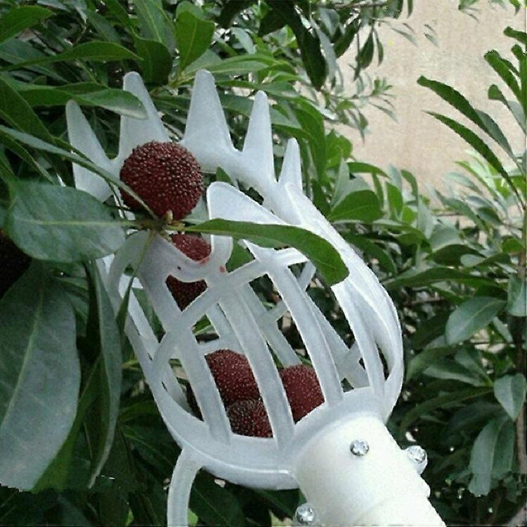 Plum Date Apricot Pick Fruit Plastic Tool(White) 20cm