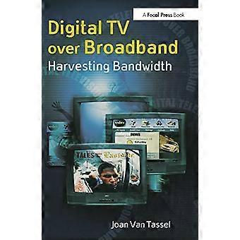 Digitales Fernsehen über Breitband: Bandbreitennutzung