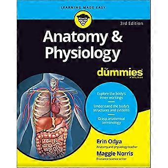 Anatomie & Physiologie für Dummies, 3. Auflage