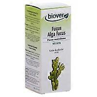 Fucus Vesiculosus 50 ml