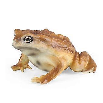 Realistic Frog Toad Animal Figurines Educational Reptile Toy Safe BPA Free Plastic