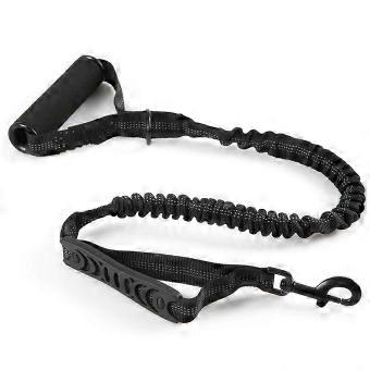 Padded Bungee Leash With Reflective Safety Strips