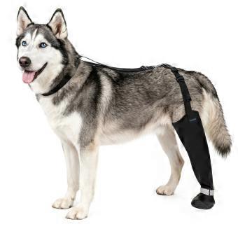 Dog Paws Bandage Cover and Rear Leg Guard with Soft Construction, Body Belt, and Fast Release Buckles for Care  XL