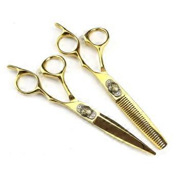 Hair Cutting Scissors 6 Inch Japanese Stainless Steel Barber Shears with Ultra Sharp Edge and Ergonomic Handle