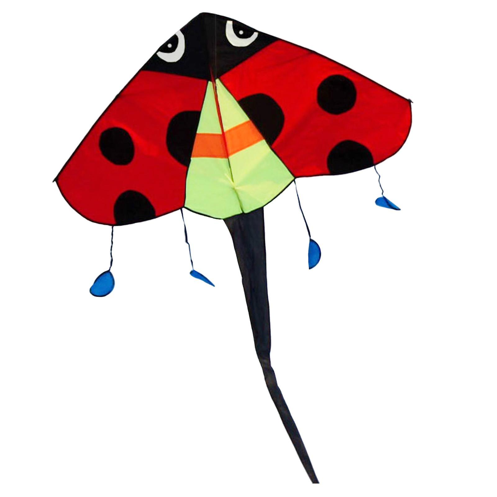 Ladybug Fly Kite Easy to Fly Triangle Kite with String Delta Kite for Sports