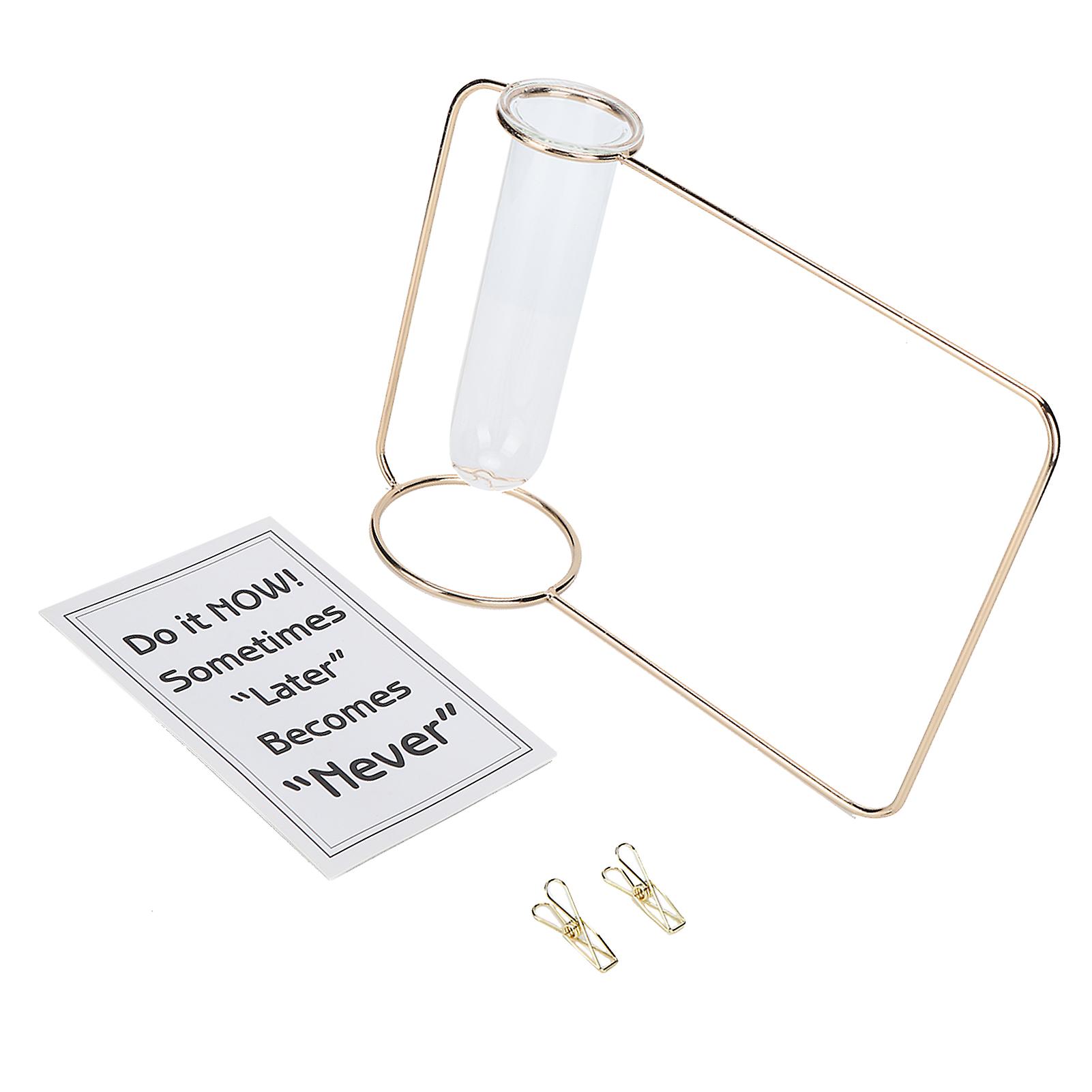 Innovative Hanging Planter Test Tube Transparent Hydroponic Plant Vases for Home IndoorGold