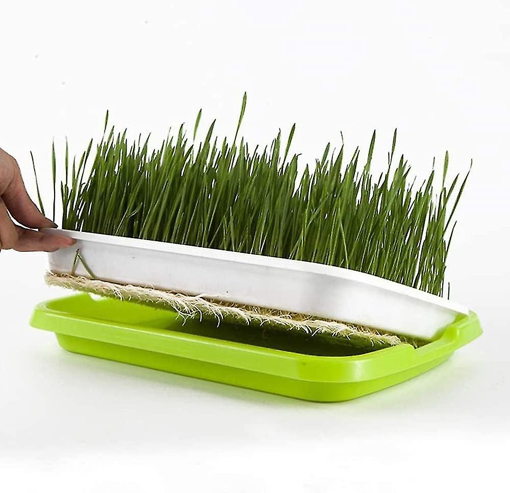 Germination Trays, 1 pc Germinator, Pots Seedling Tray, Seedling Tray, Nursery Tray, Seed Propagator