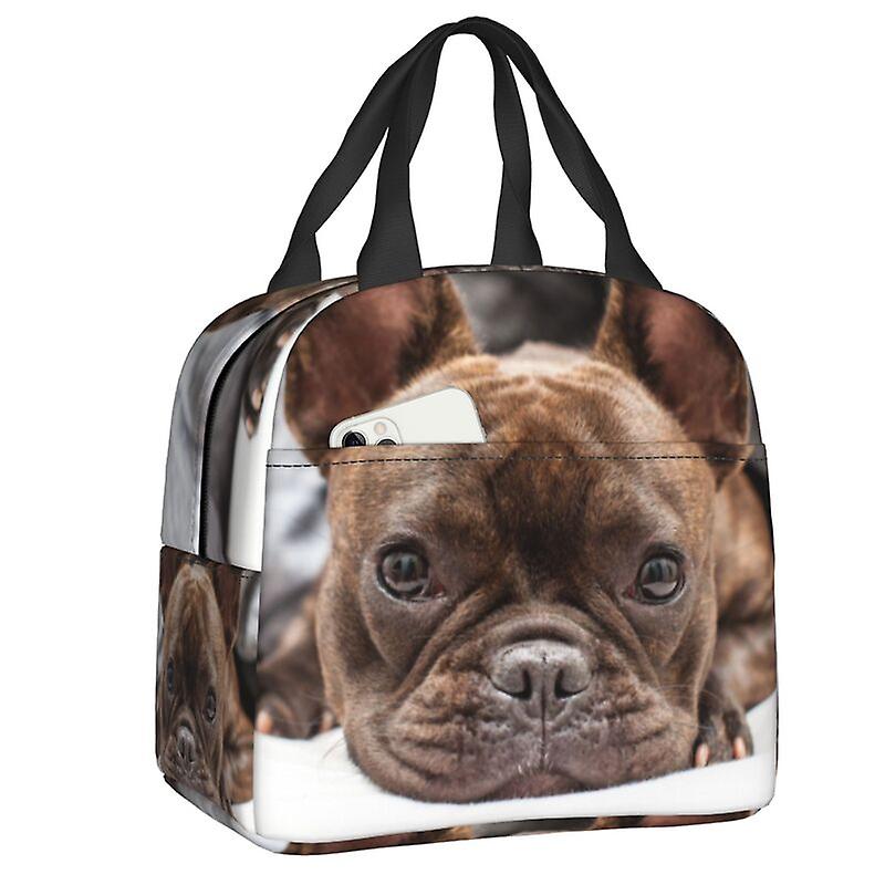 Rayures grises Bouledogues français Sac à lunch Femmes Glacière