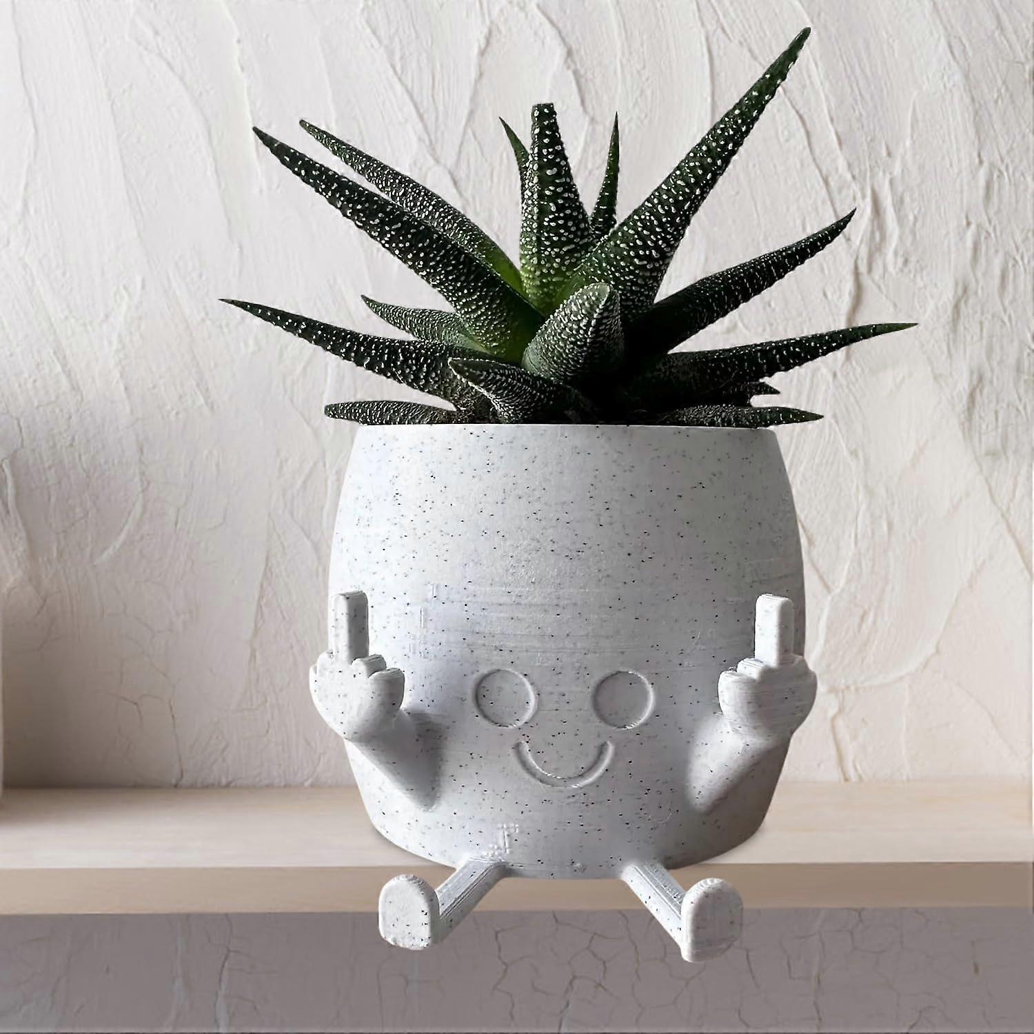 Unique and interesting indoor plant pots
