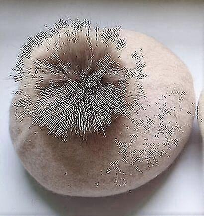 Women's Winter Wool Soft Casual Beret Caps