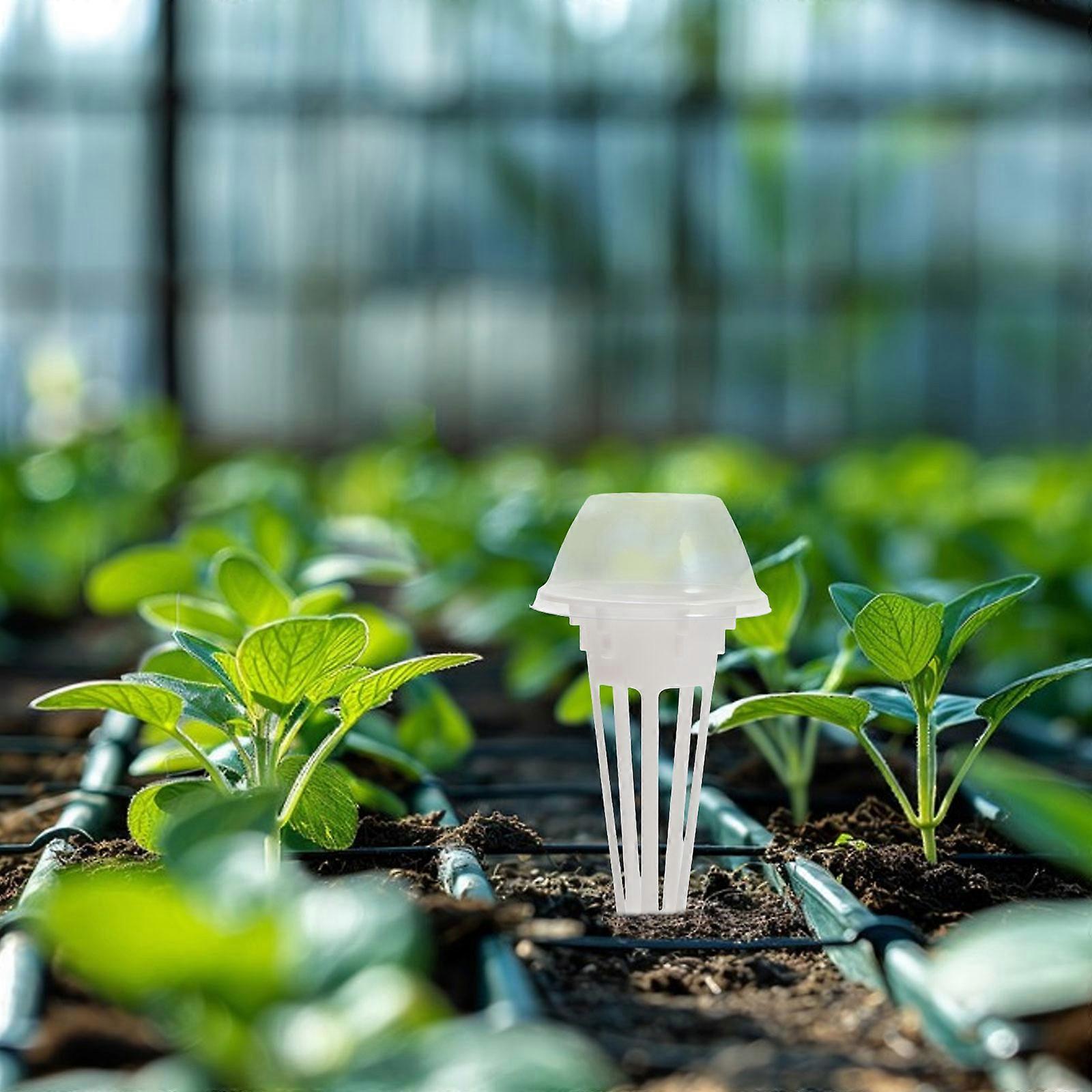 Hydroponic Growing Kit Transparent Domes for Plant Germination 30Sets