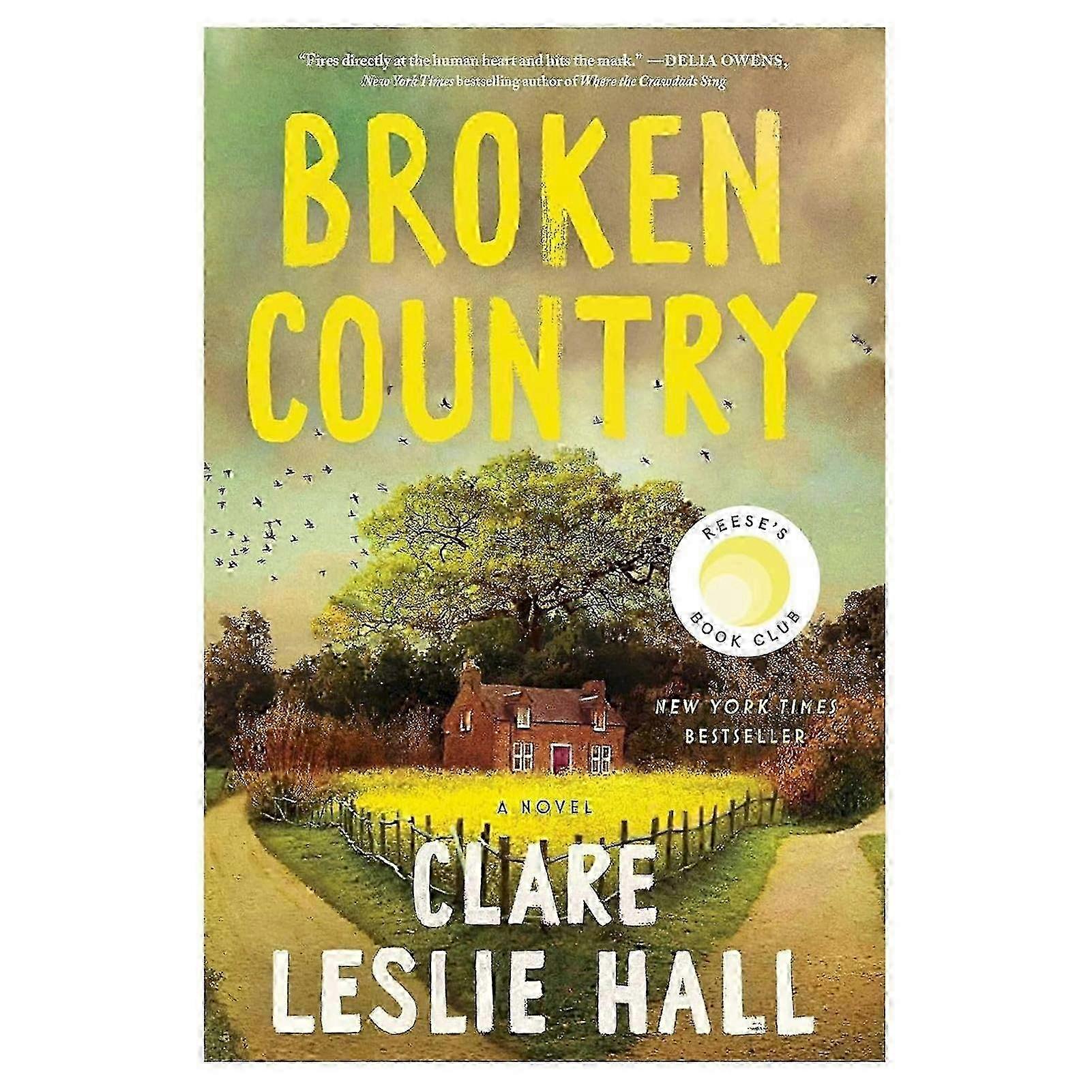 Broken-Country Novel Unparalleled Reading Experience for Books Lovers