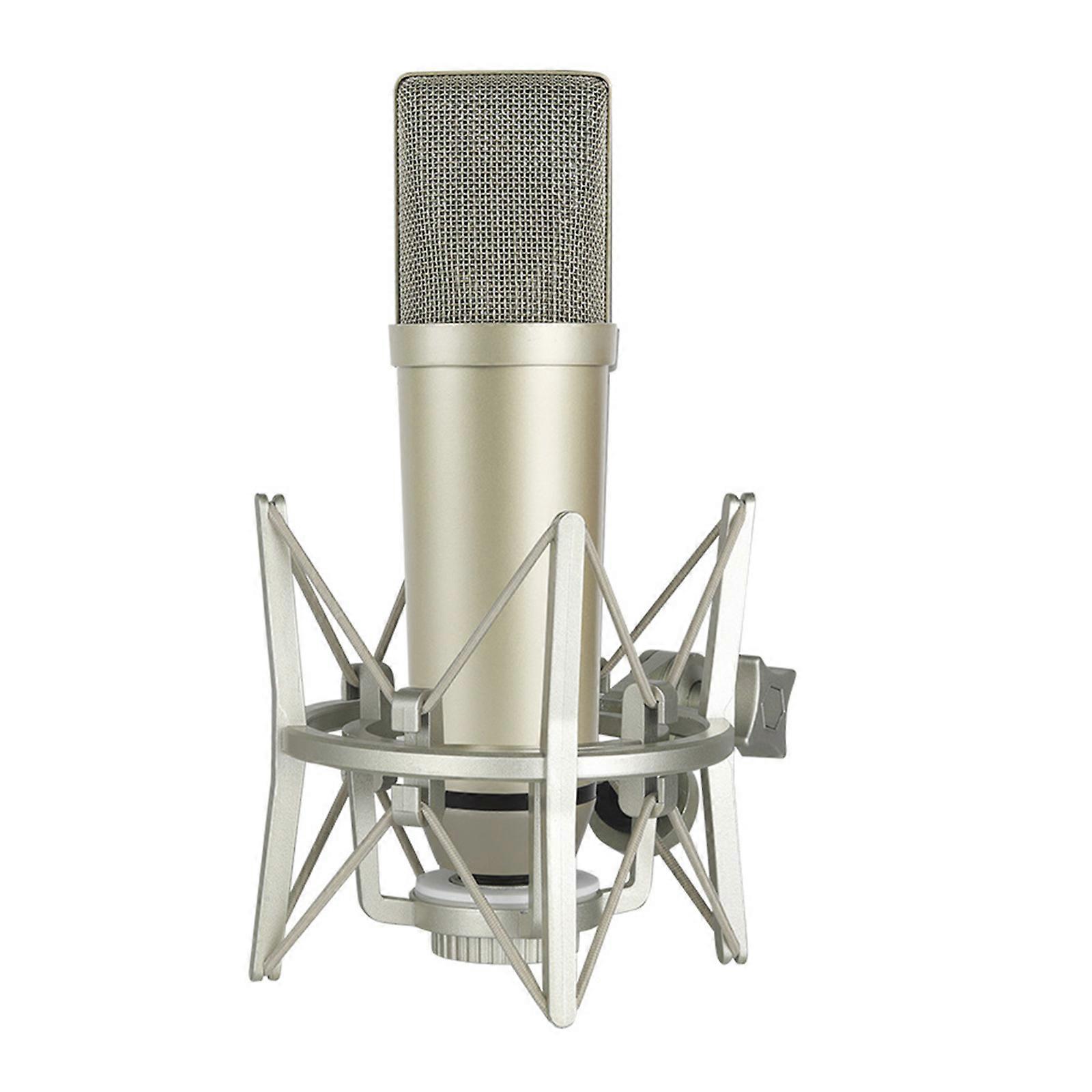 Professional Vocal Recording Microphones XLR Interfaces Noise Suppression For Broadcast Environment  gold