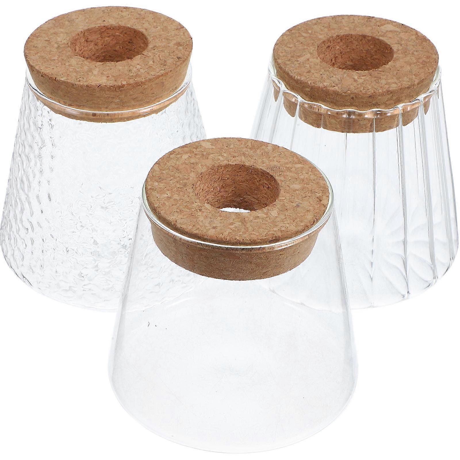 Glass Hydroponic Plant Vase for Tabletop Decoration 3Pcs Set