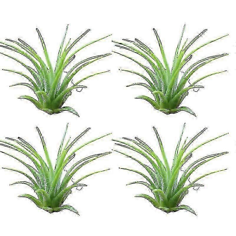 inomhusluft växtdekoration lättskött vattenplanteringsvas