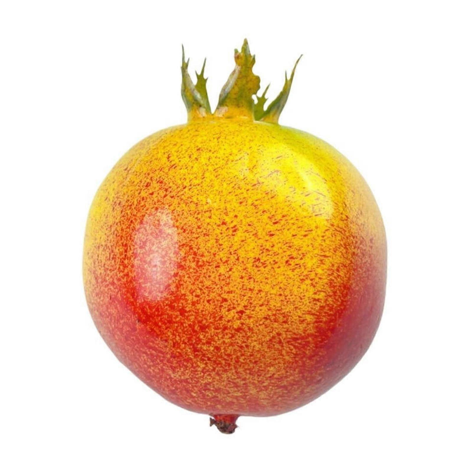 Artificial Realistic Fruit Decor, Plastic Model for Dining Table & Cabinet Display, by Elapind