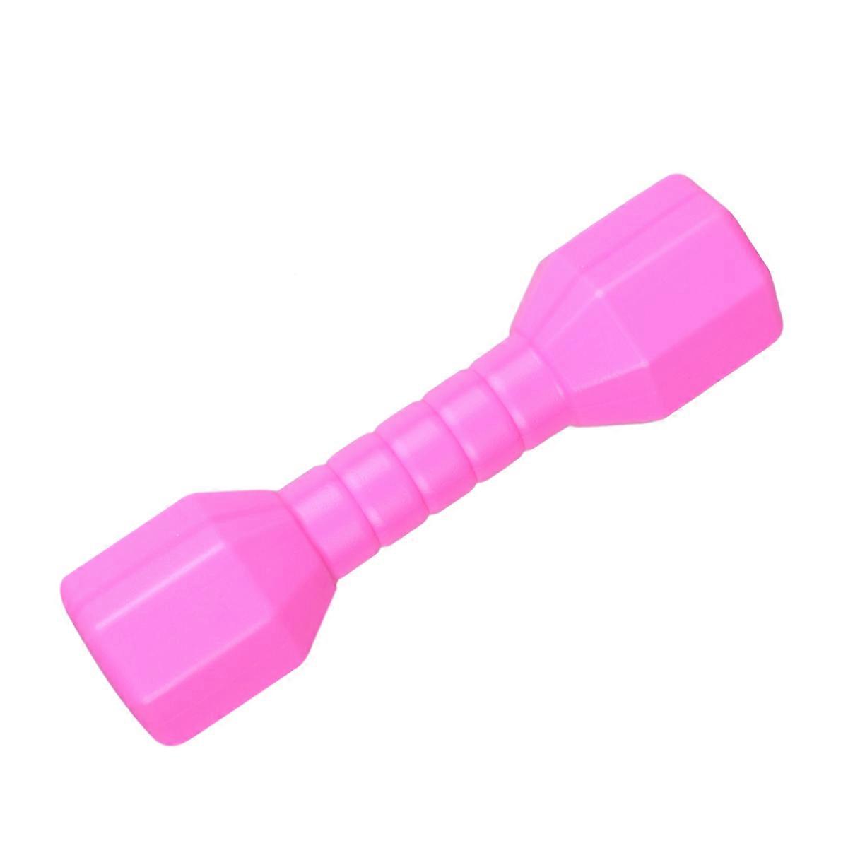 Small Dumbbells Plastic Octagonal Dumbell for Kids 4Pcs Exercise Equipment