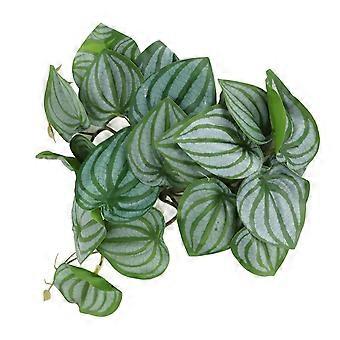 Simulation de feuilles décoratives pour krybdyr, 24,9 cm, avec ventouse puissante pour aquarium-cr