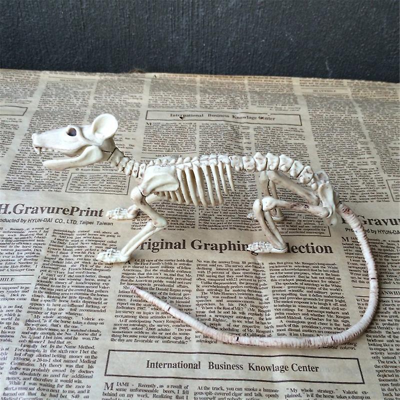 Skeleton Rat Plastic Animal Skeleton Bones For Horror Halloween Decor