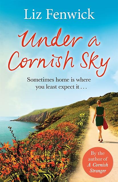 Under A Cornish Sky - Liz Fenwick