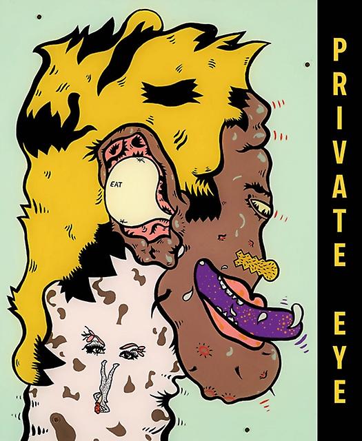Private Eye The Imagist Impulse In Chicago Art Paperback Book