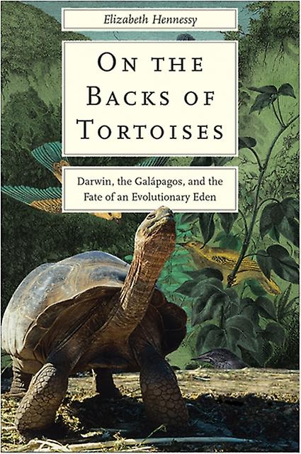 On The Backs Of Tortoises by Elizabeth Hennessy Paperback Book